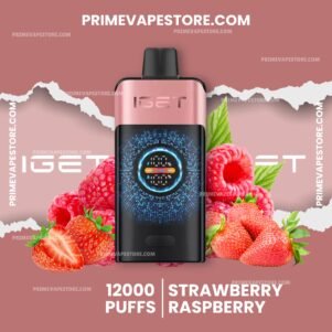 Iget One 12000 Puffs Strawberry Raspberry